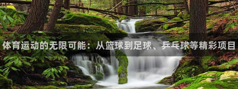 oety欧亿体育官网下载平台注册要钱吗安全吗：体育运