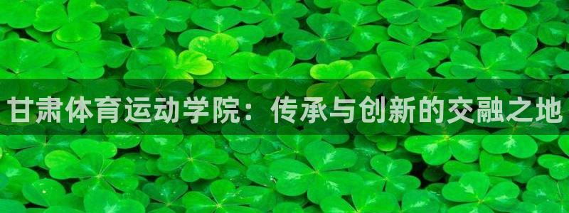 欧亿体育官方正版app新能源：甘肃体育运动学院：传承与创新的