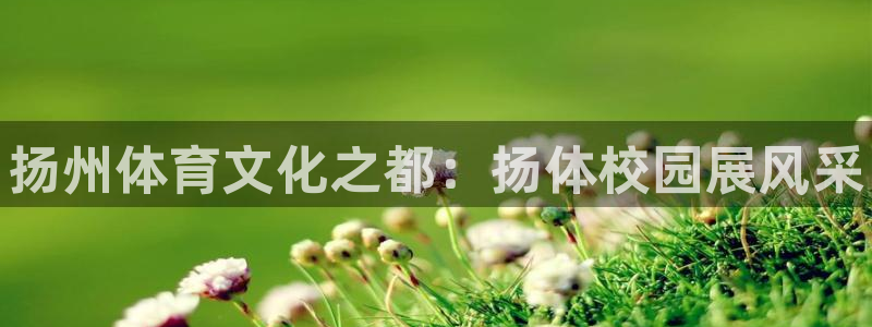oety欧亿体育官网下载注册：扬州体育文化之都：扬体