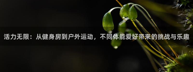 oety欧亿体育官网下载平台假的吗是真的吗：活力无限：从健身