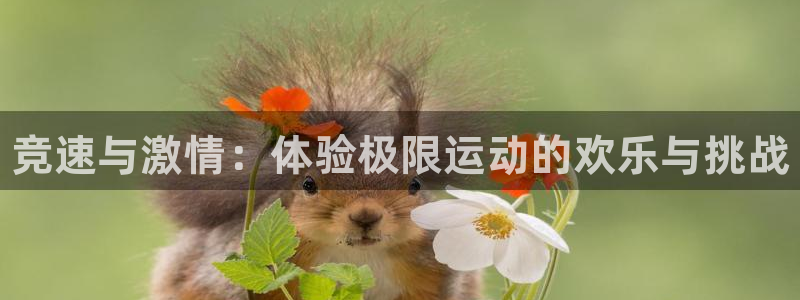 欧亿体育官方正版app集团官网首页网址：竞速与激情：