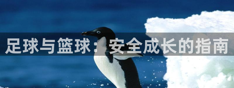 oety欧亿体育官网下载是干嘛的公司：足球与篮球：安全成长的
