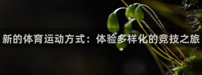 欧亿体育官方正版app娱乐代理怎么样：新的体育运动方式：体验
