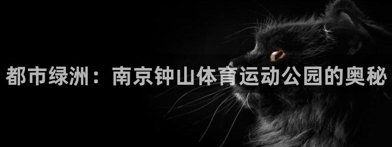 oety欧亿体育官网下载平台是正规平台吗知乎：都市绿