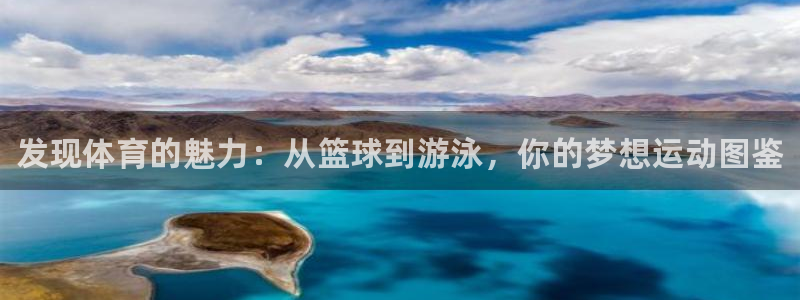 oety欧亿体育官网下载平台注册：发现体育的魅力：从篮球到游
