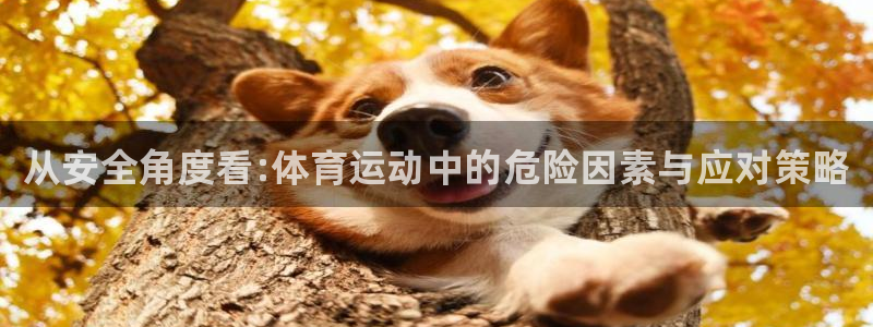 海南oety欧亿体育官网下载：从安全角度看:体育运动
