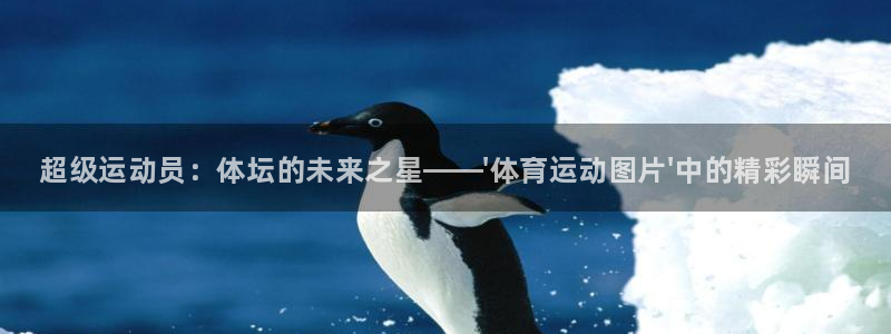 oety欧亿体育官网下载平台注册要钱吗是真的吗：超级运动员：
