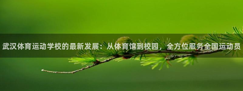 oety欧亿体育官网下载平台注册要钱吗：武汉体育运动学校的最