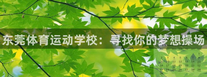 oety欧亿体育官网下载招商电话：东莞体育运动学校：寻找你的