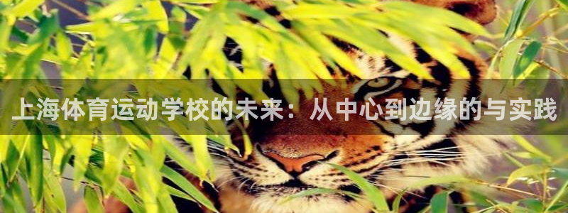 欧亿体育官方正版app官方：上海体育运动学校的未来：从中心到