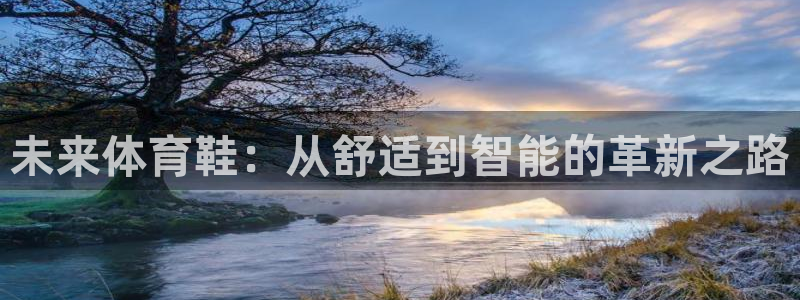 oety欧亿体育官网下载平台假的吗是真的吗：未来体育鞋：从舒