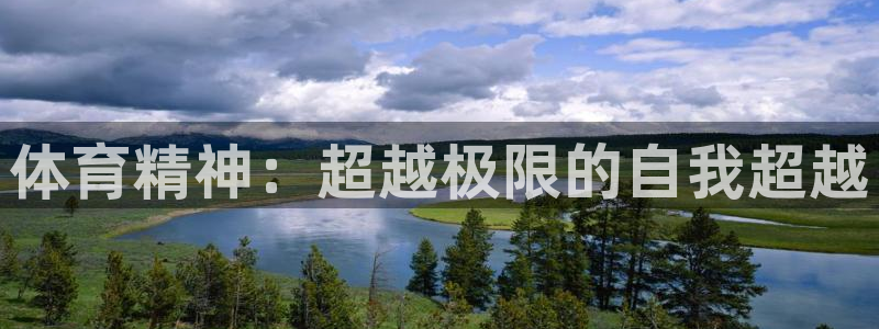 欧亿体育官方正版app科技