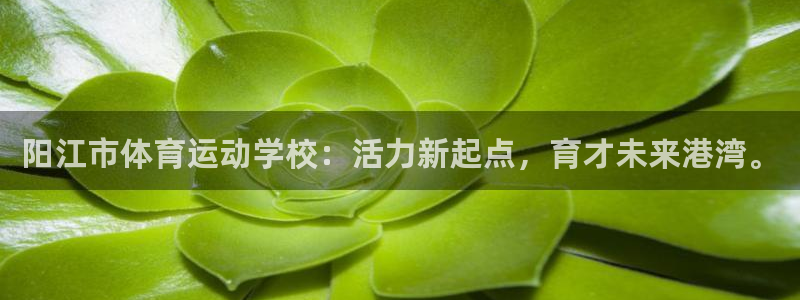 oety欧亿体育官网下载招商电话号码查询：阳江市体育运动学校