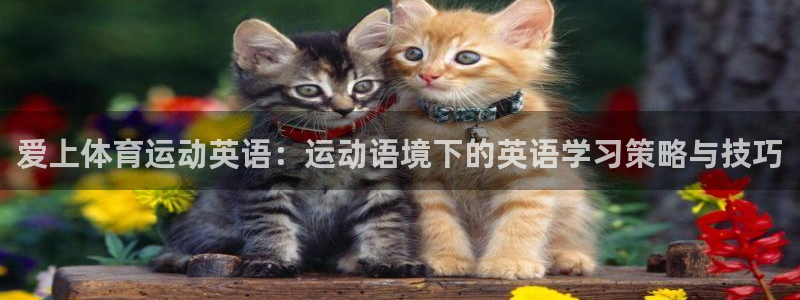 oety欧亿体育官网下载招商电话地址是多少：爱上体育运动英语