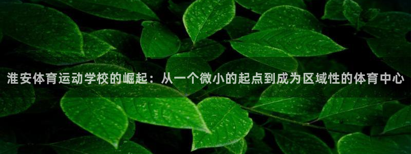 欧亿体育官方正版app集团：淮安体育运动学校的崛起：