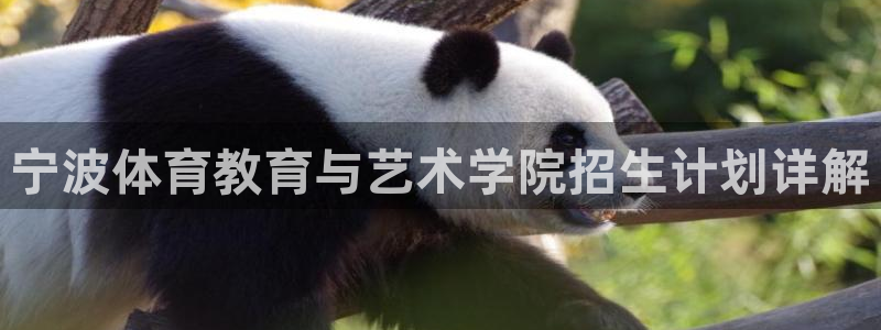 oety欧亿体育官网下载平台假的吗是真的吗：宁波体育教育与艺