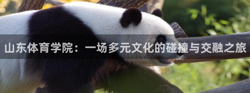 oety欧亿体育官网下载平台假的吗是真的吗：山东体育学院：一