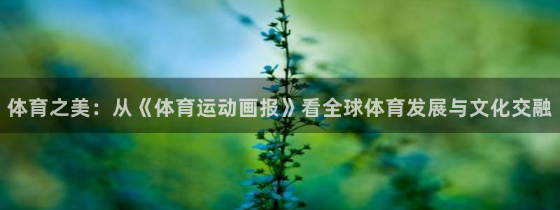 欧亿体育官方正版app开户