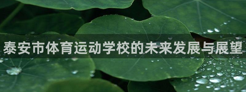欧亿体育官方集团官网：泰安市体育运动学校的未来发展与